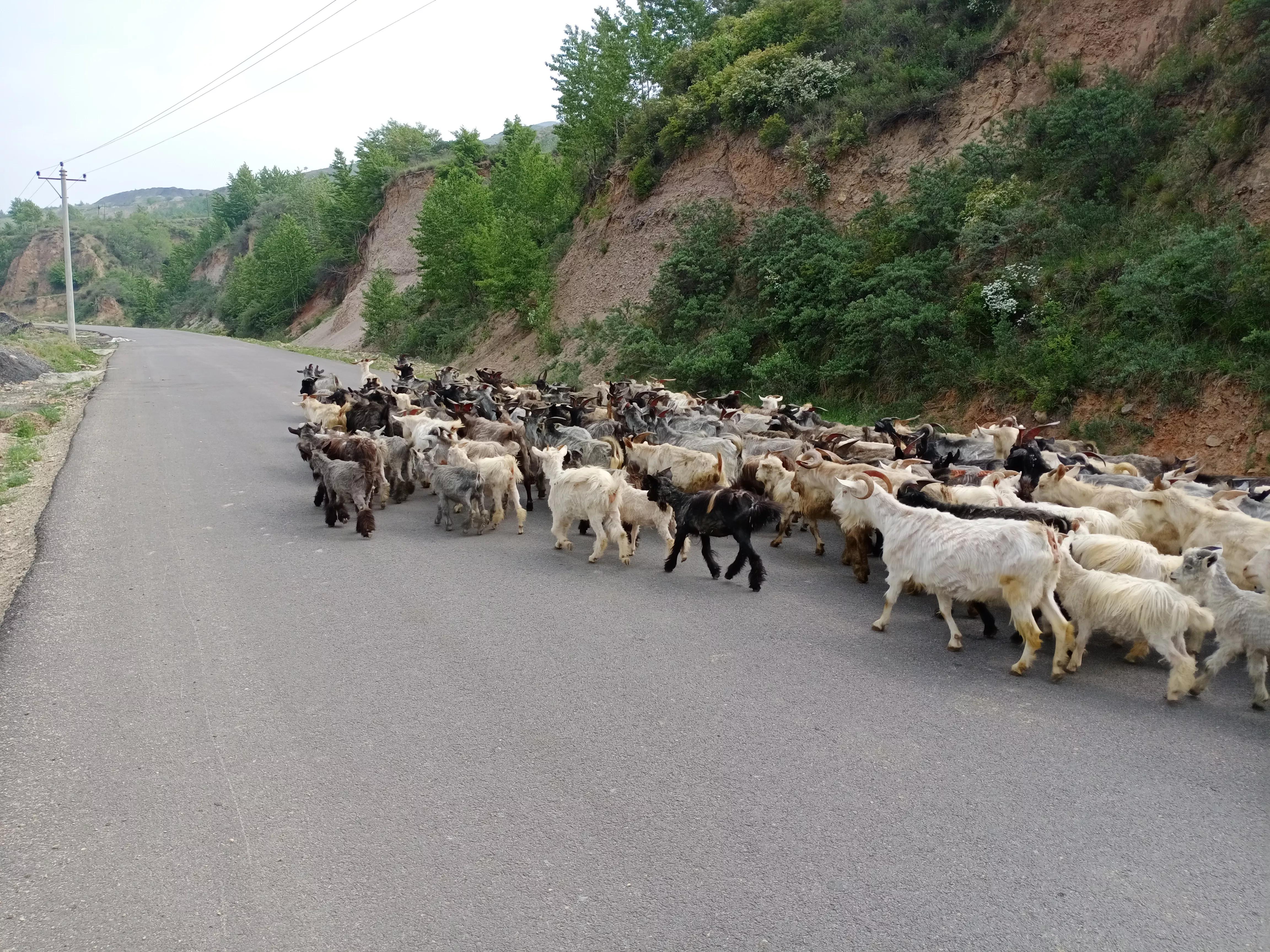 五峰山景区视频,五峰旅游景区
