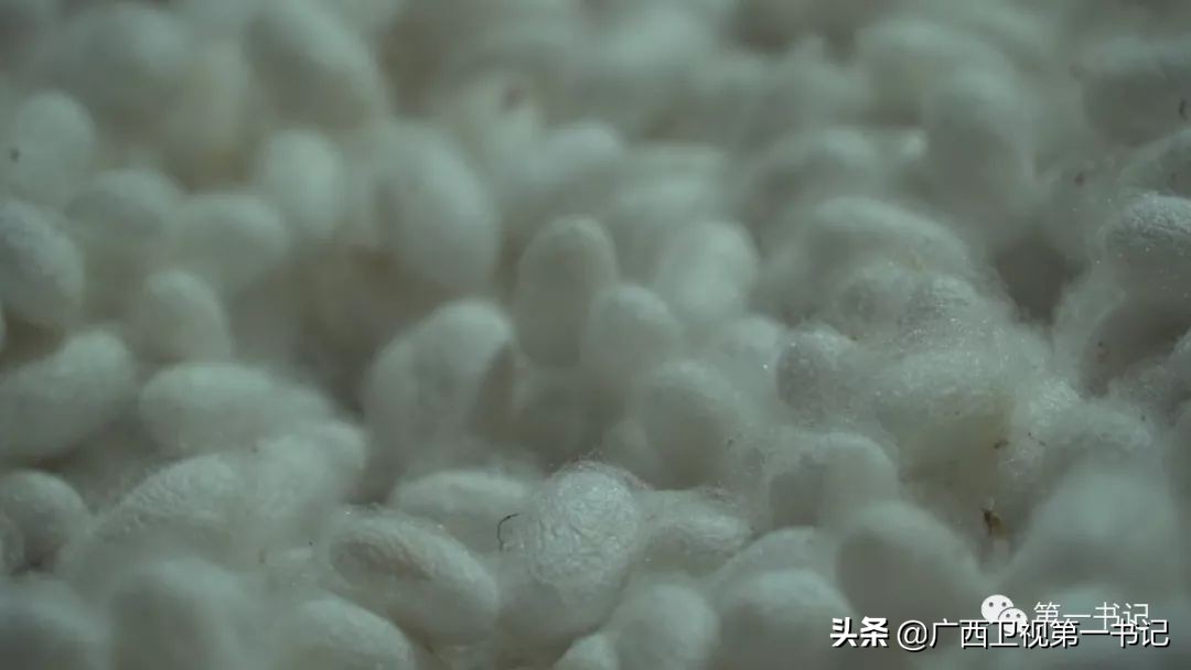 娉楁按鑴辫传鏀诲潥,娴庡畞娉楁按鎵惰传