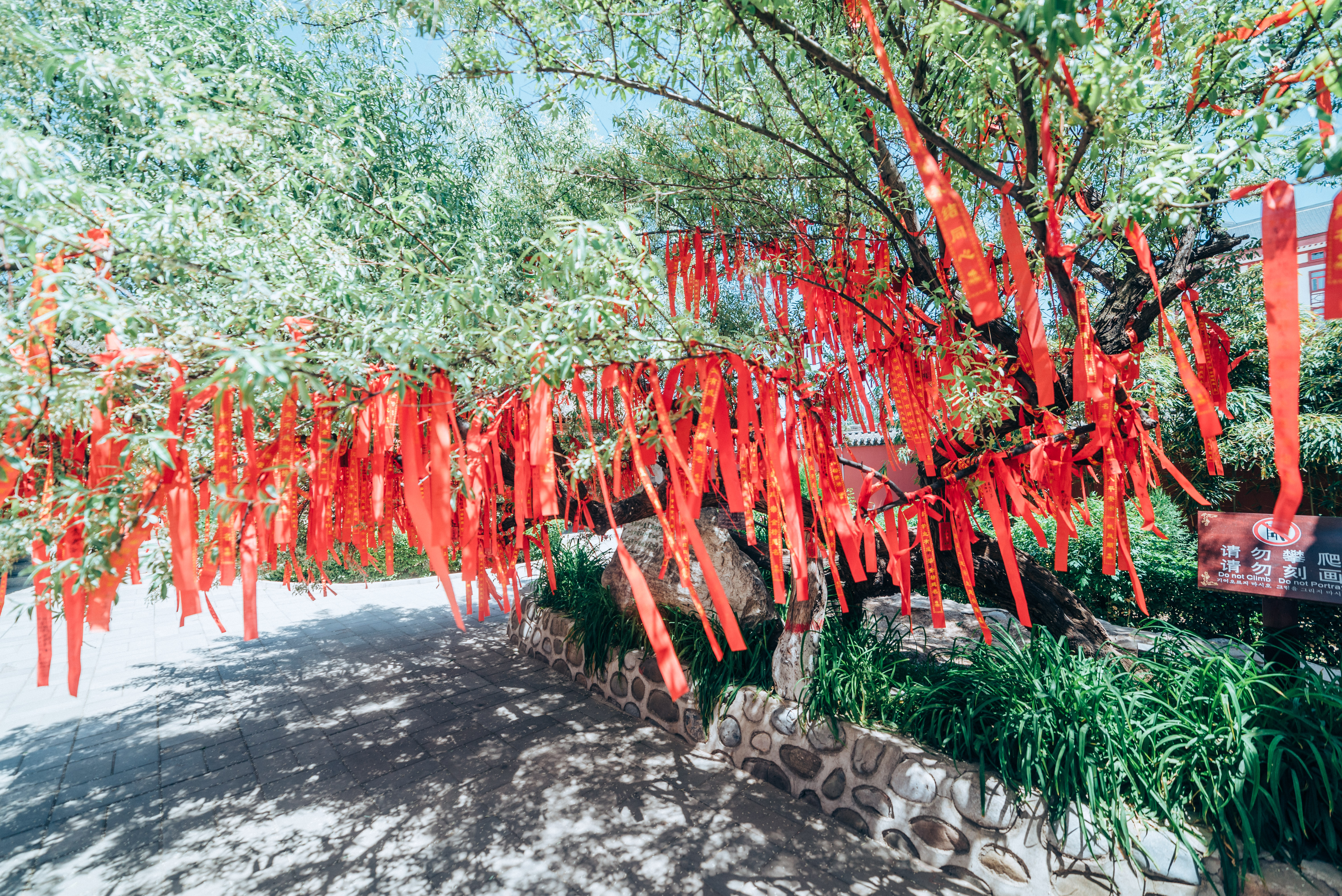 李是不是中国最强的姓氏,李为何能问鼎最强姓氏
