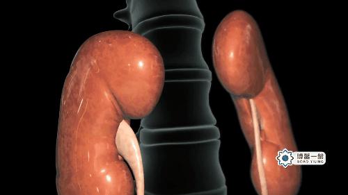 古本易筋经十二式练习,道家千年不传之秘快速补肾法