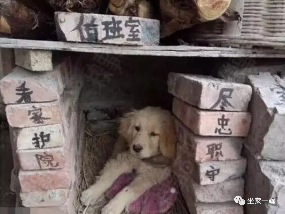 揭秘互联网比较常见的网赚骗局,知识分享割韭菜新套路