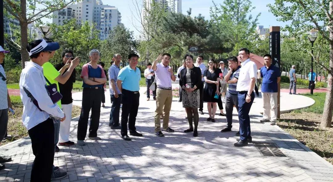 盼望着，盼望着！望京文化体育公园今天正式开园啦！