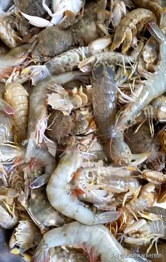 当美食邂逅大海，浪漫夏季让您尝遍乐亭味道--唐山乐亭韩姐农家院