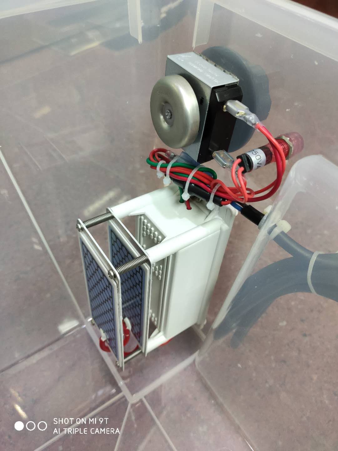 大自然的礼物视频,大自然的礼物青山绿水