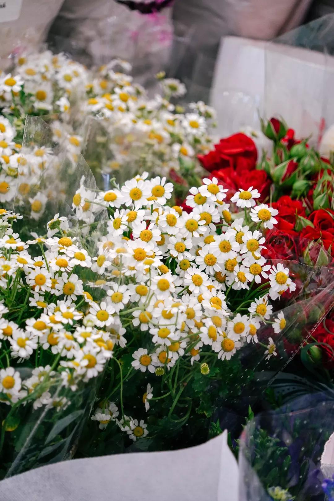 汉中门花市,汉中门花市价格