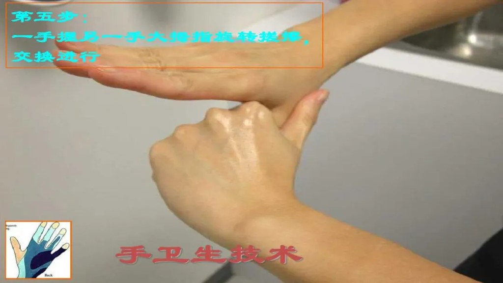 课件-陪护人员医院感染知识培训