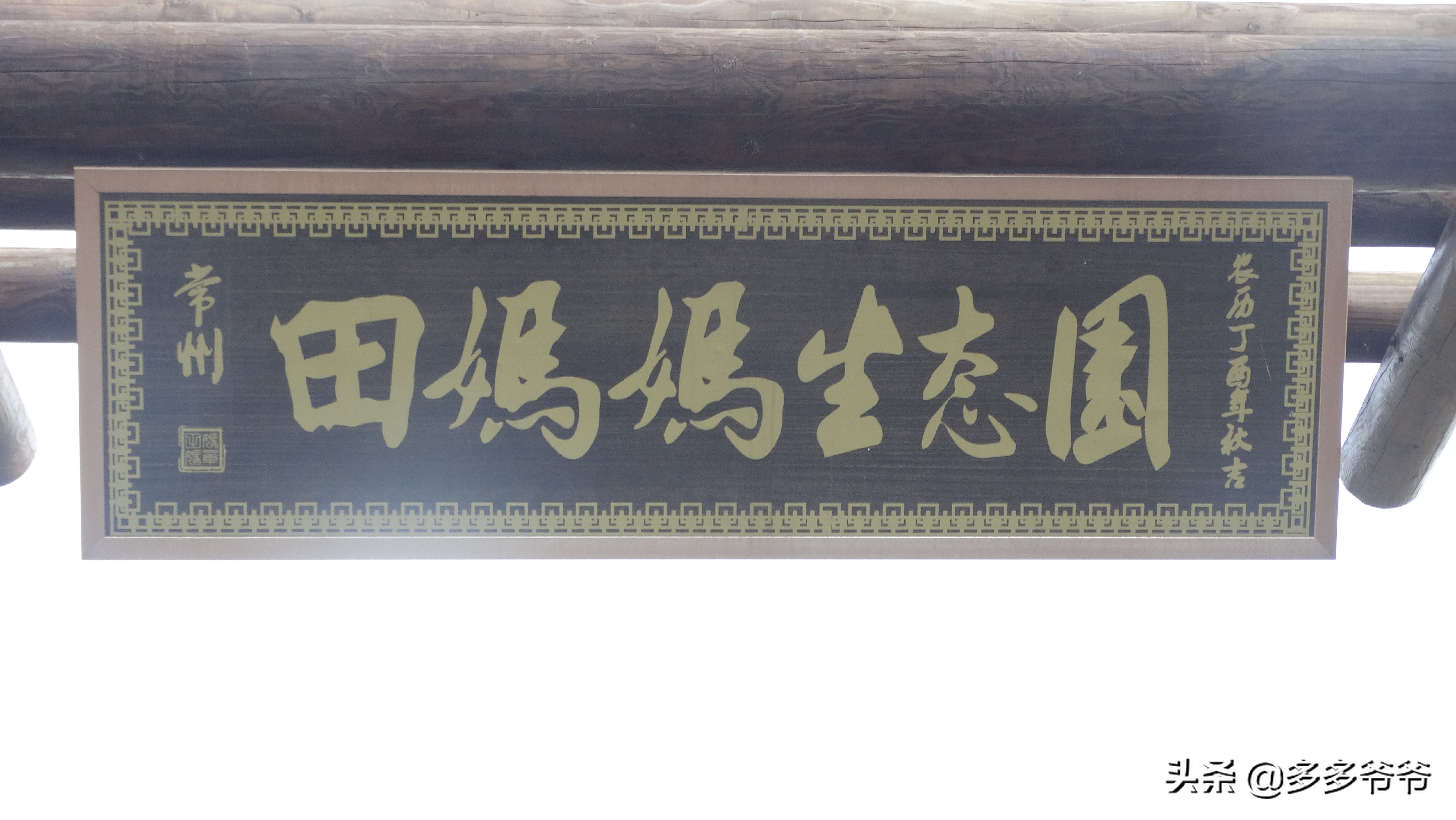 常州赏花的地方,常州附近5公里内公园免费景点