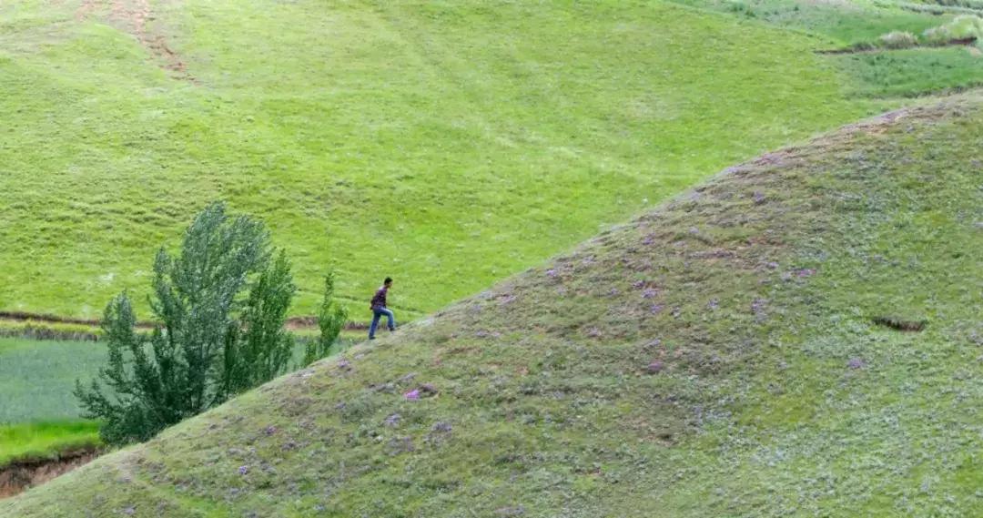 他到西北跟拍5个中国爷们3年：这片土地决定了人们为什么要唱歌