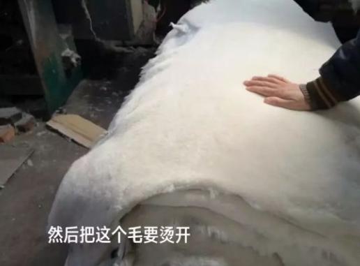 全球最大雪地靴生产基地！河南桑坡村