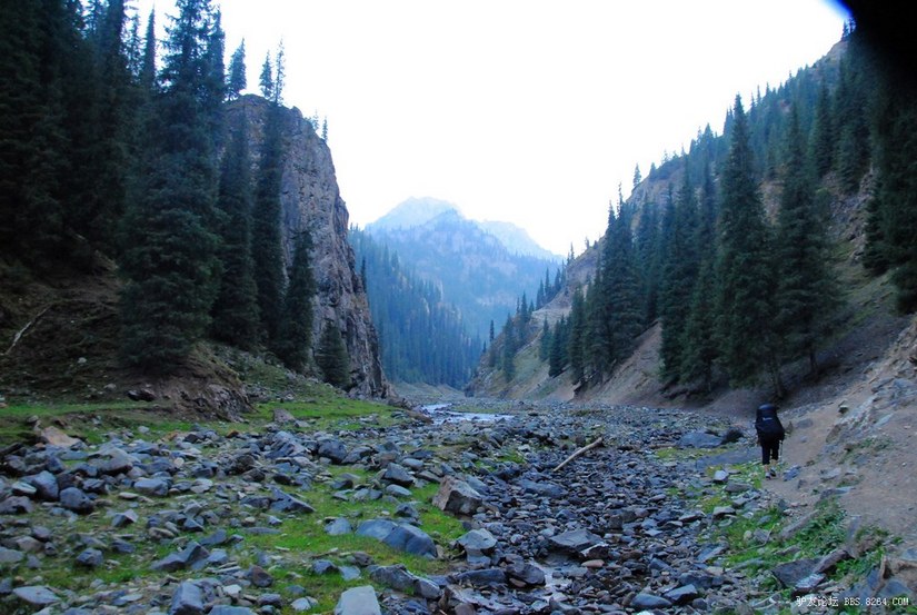 狼c调简谱教唱,狼c