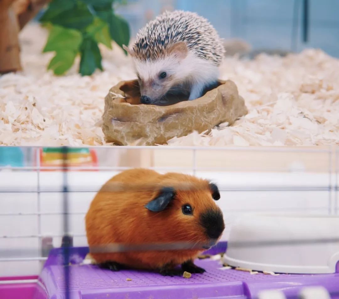 南京值得去生活吗,在南京生活15年的感受