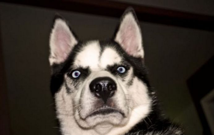 又到了一年一度的收获季,收快递的烦恼有多严重