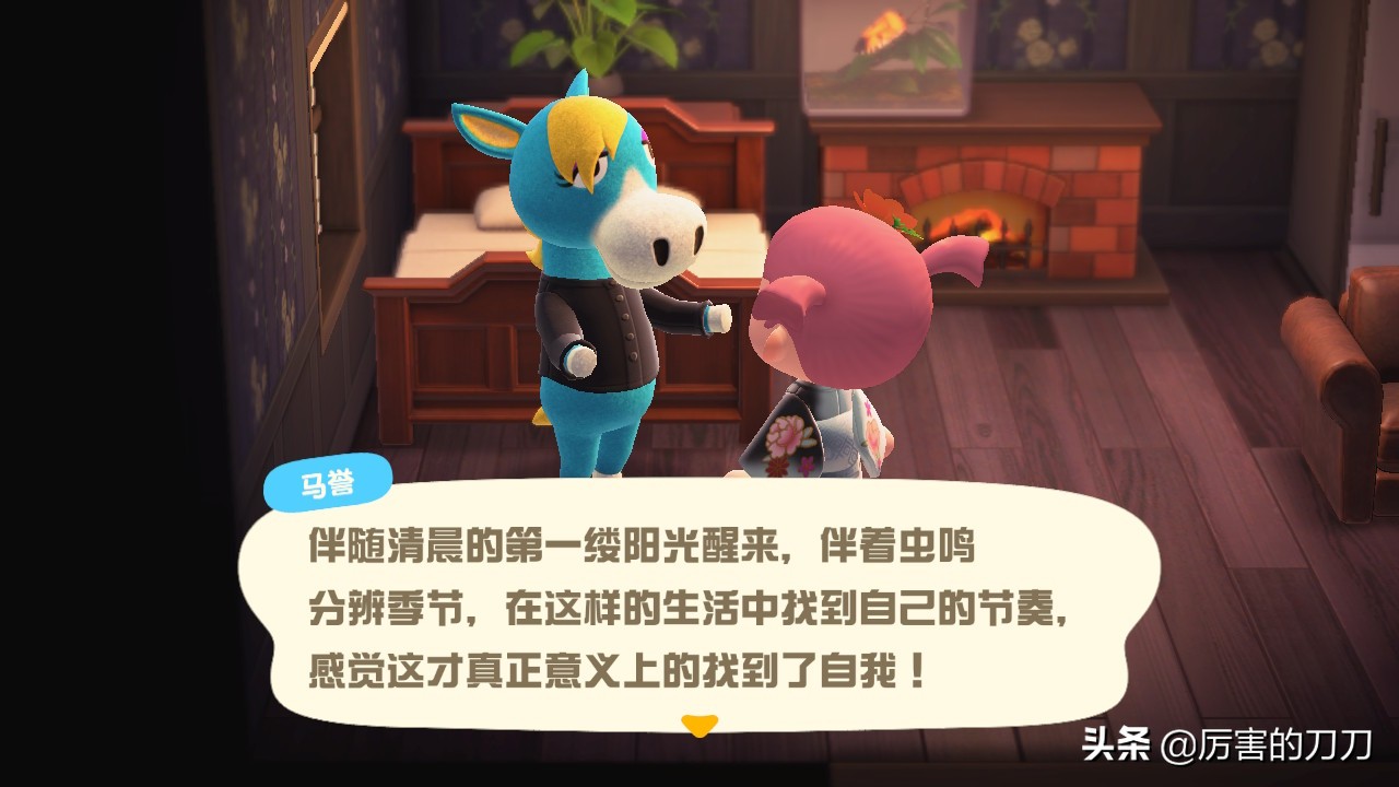 动物森友会三颗星怎么看,游戏动物森友会