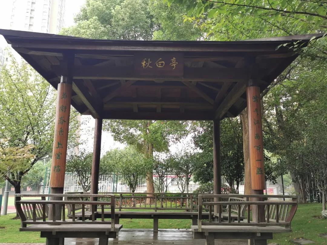 文明清风新吴有礼|江溪小学:倡导文明之风共践文明之行