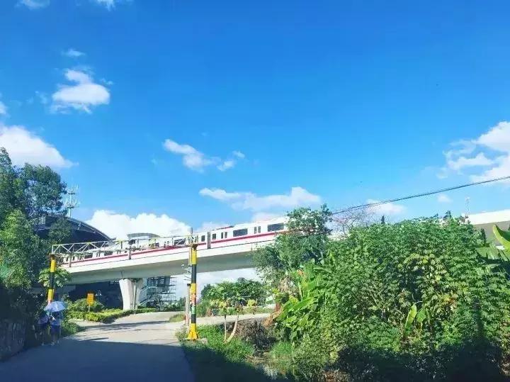 广州地铁旅游打卡攻略,广州适合春游的免费景点