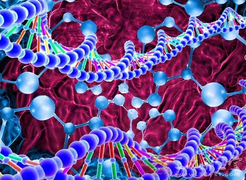 白蛋白是丙类药么,白蛋白是钙吗