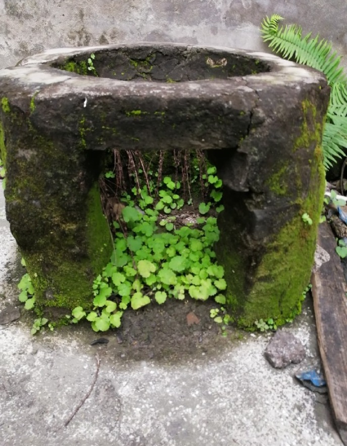 百年老宅发现神秘影子,重庆江北董家溪老照片