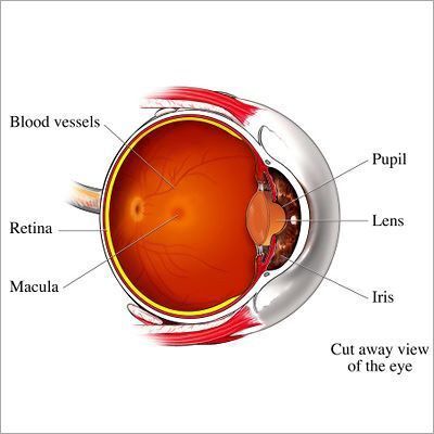 中年人需预防的疾病,中老年人预防眼睛疾病的最佳方法