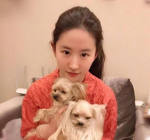 鞠婧祎半永久造型,半永久妆图片鞠婧祎