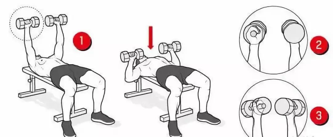 新手十公斤哑铃一周增肌训练计划,不要让你的哑铃锈迹斑斑