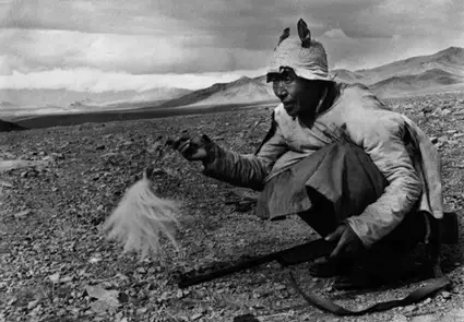 伍连德防治鼠疫为何成功,伍连德抗鼠疫共几年