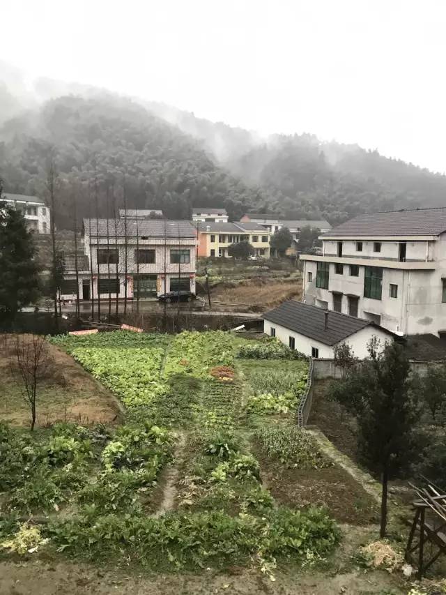 湖南益阳被救女孩,湖南益阳女子被救助