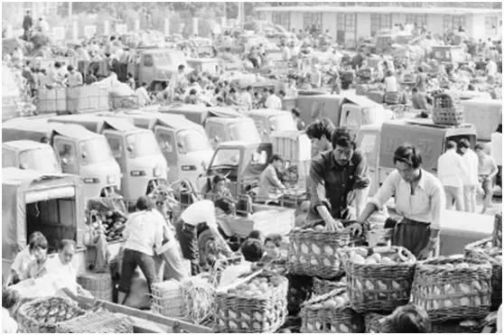 真实的新发地是什么,新发地到底是哪里