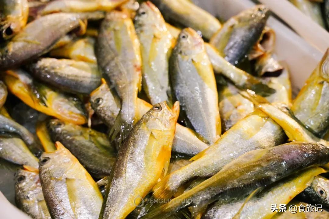 广州最大的海鲜水产批发市场,南京最大的水产批发市场在哪里