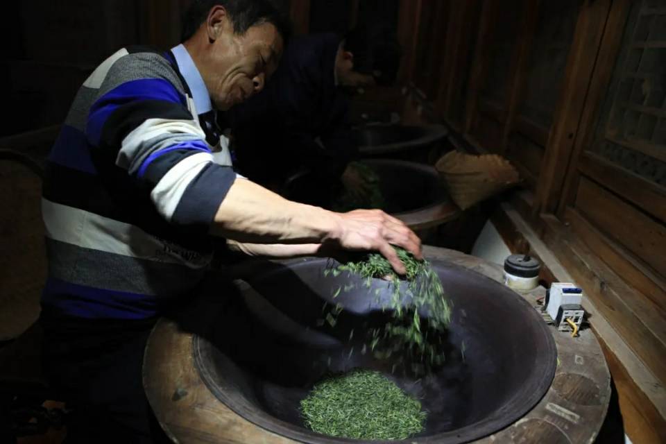 江西婺源茶最好的茶,江西婺源高山老茶