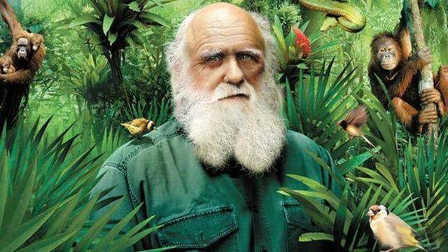 地球上第一个人是谁是怎么来的,地球上第一个人是从何而来