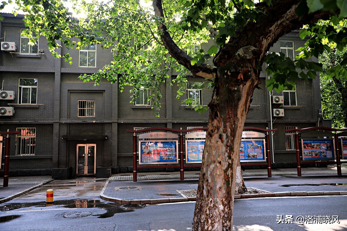 北京二外通州校区,北京二外的小语种有多好