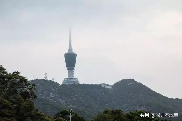 深圳有哪些地方免费景点,深圳都有什么景点免费游玩