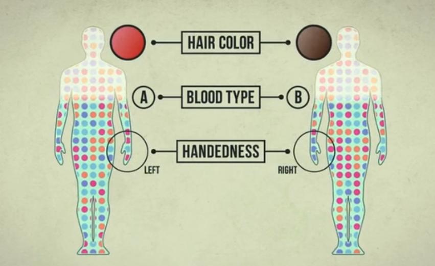 医学史上的伟大发明,人类基因测序科普讲解