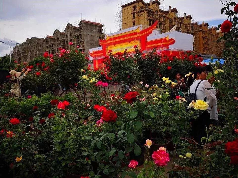 花街白天去还是晚上去,逛花街的好处和方法