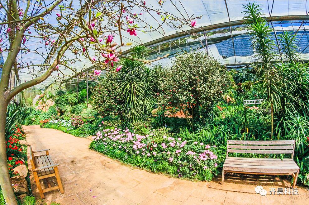 温室花卉科学种植,温室花卉盆栽蔬菜种植方法