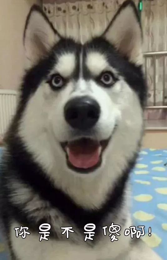 我的信用卡被人刷了怎么办,发现信用卡被盗刷应该怎么办