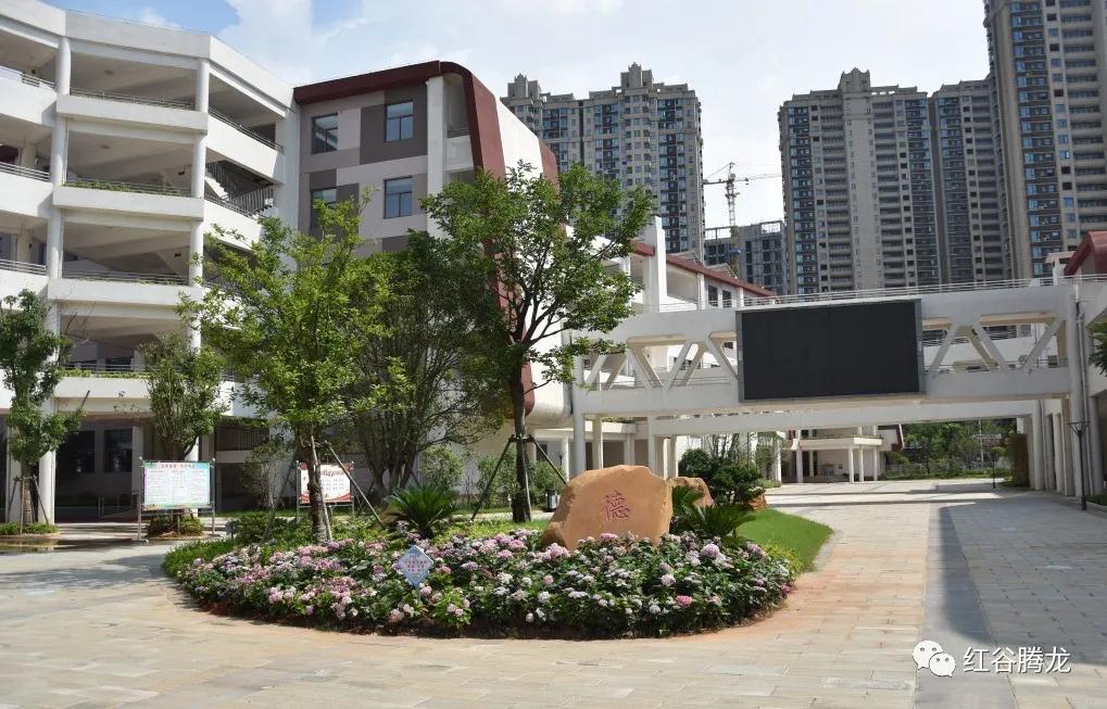 南昌红谷滩腾龙学校招生,南昌红谷滩腾龙学校学区范围