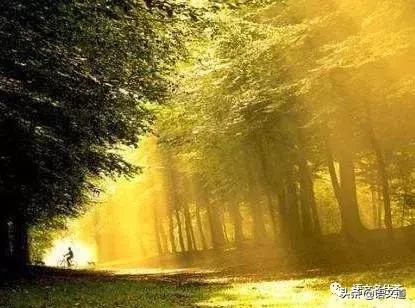 作文造句技巧大全,小学作文如何写好句子