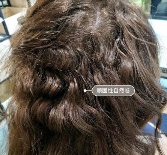 自然卷平时怎么打理,自然卷打理技巧和方法