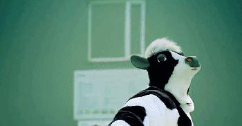 脱脂奶和舒化奶哪个给猫喝好,有机奶好还是舒化奶好吸收