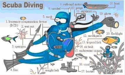 36张图记住英文生活用词,3-6岁儿童必背英语24个单词