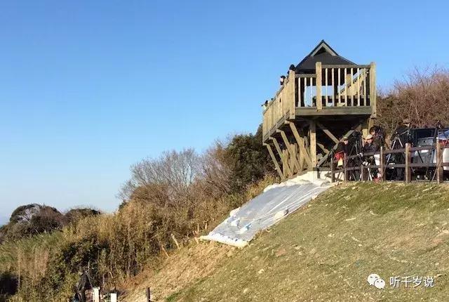 日本东京熊本熊,日本熊本游