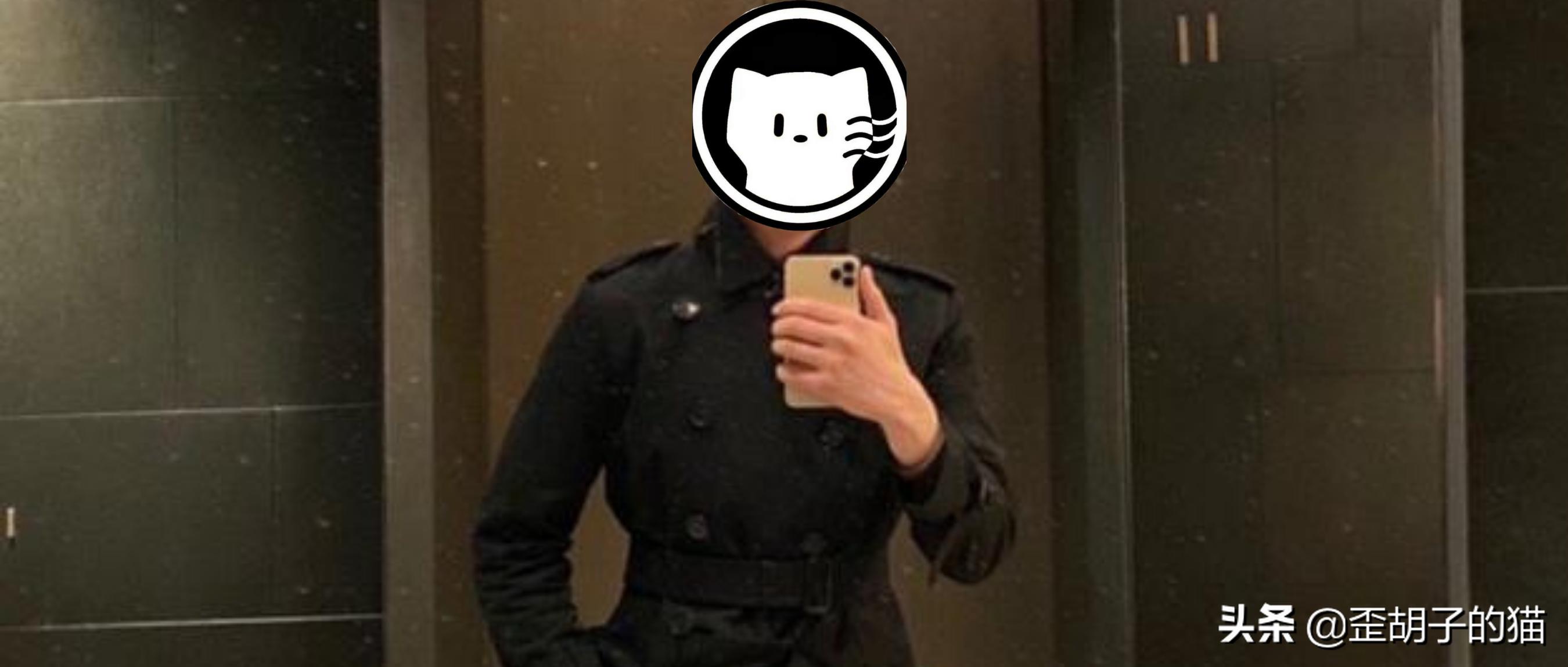 猫咪品种鉴别,猫咪品种科普和鉴赏