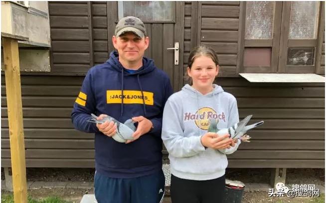 kbdb鸽王总冠军,kbdb鸽王每年评选多少个