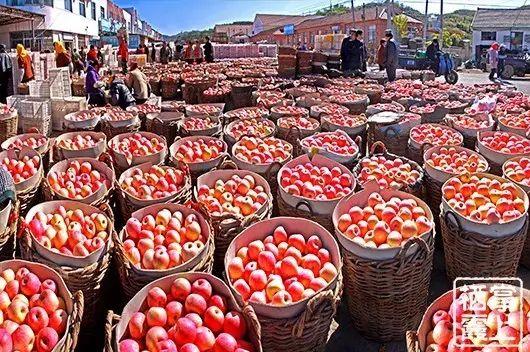 果农卖不出去苹果怎么办,果农卖不出去水果