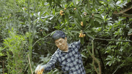 一家四口倾家荡产在山里造房隐居：3年零收入，坚持不通车