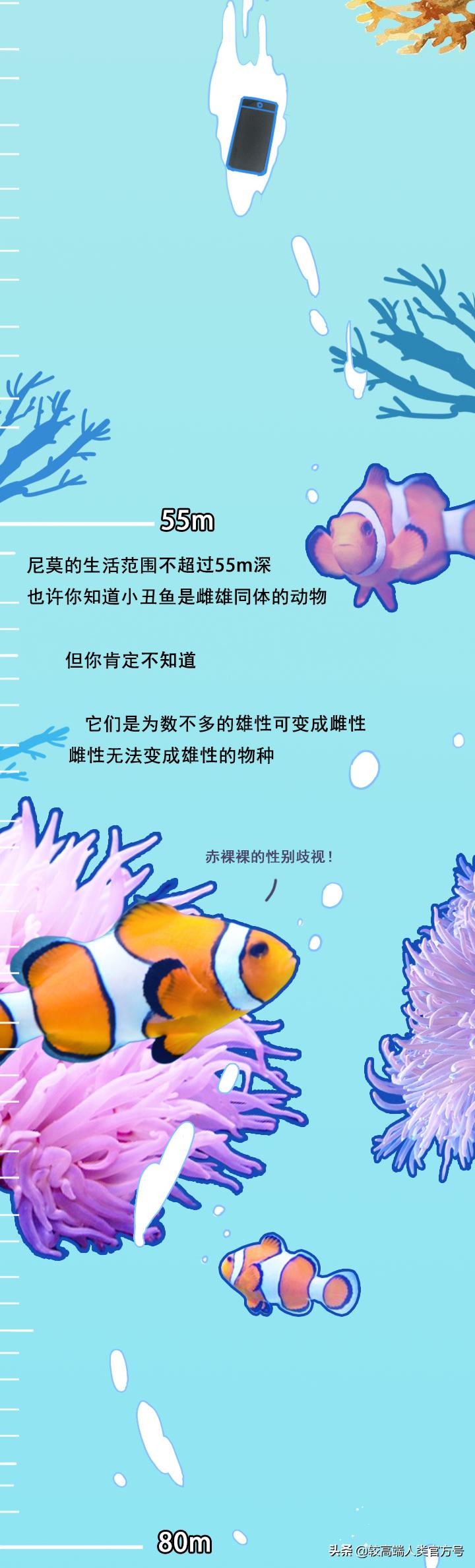 手机掉进水里十几秒有问题吗,手机掉入1000米