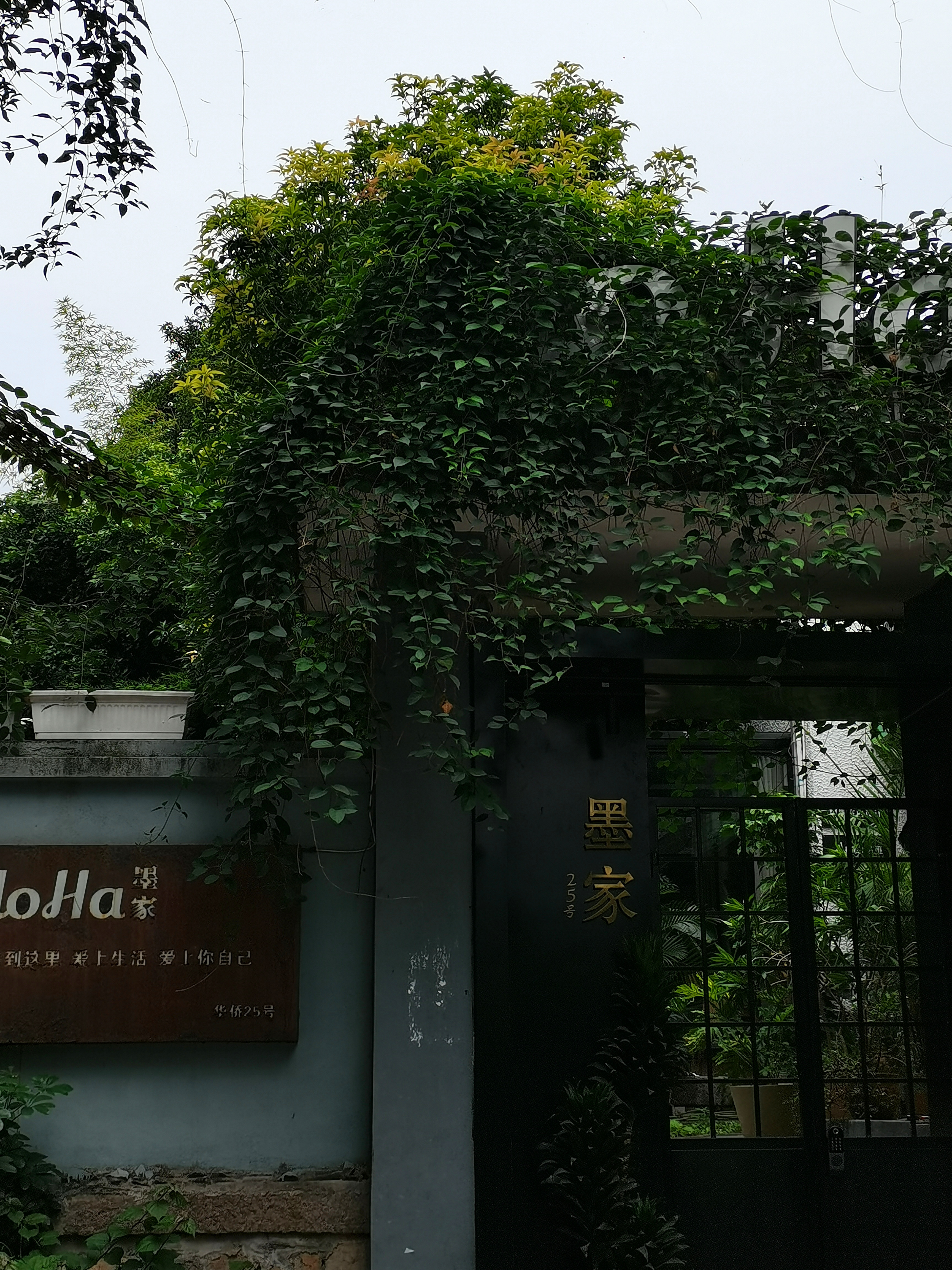 福州华侨新村怎么走,福州华侨新村美食