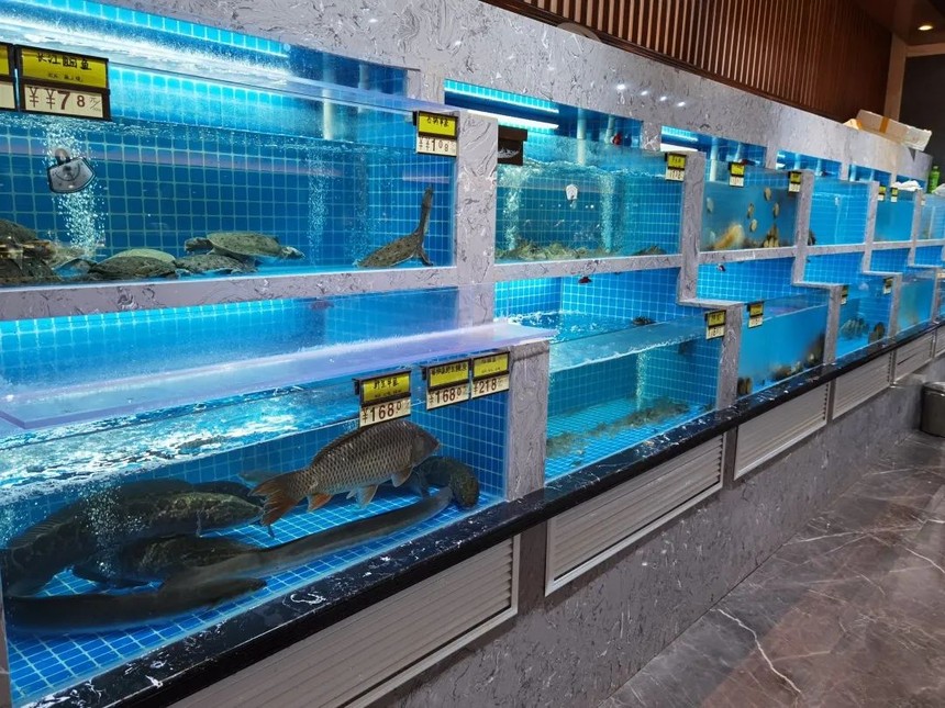 微视河南财经在线：邂逅江南7号宴，烟雨伊人，有美食更有故事