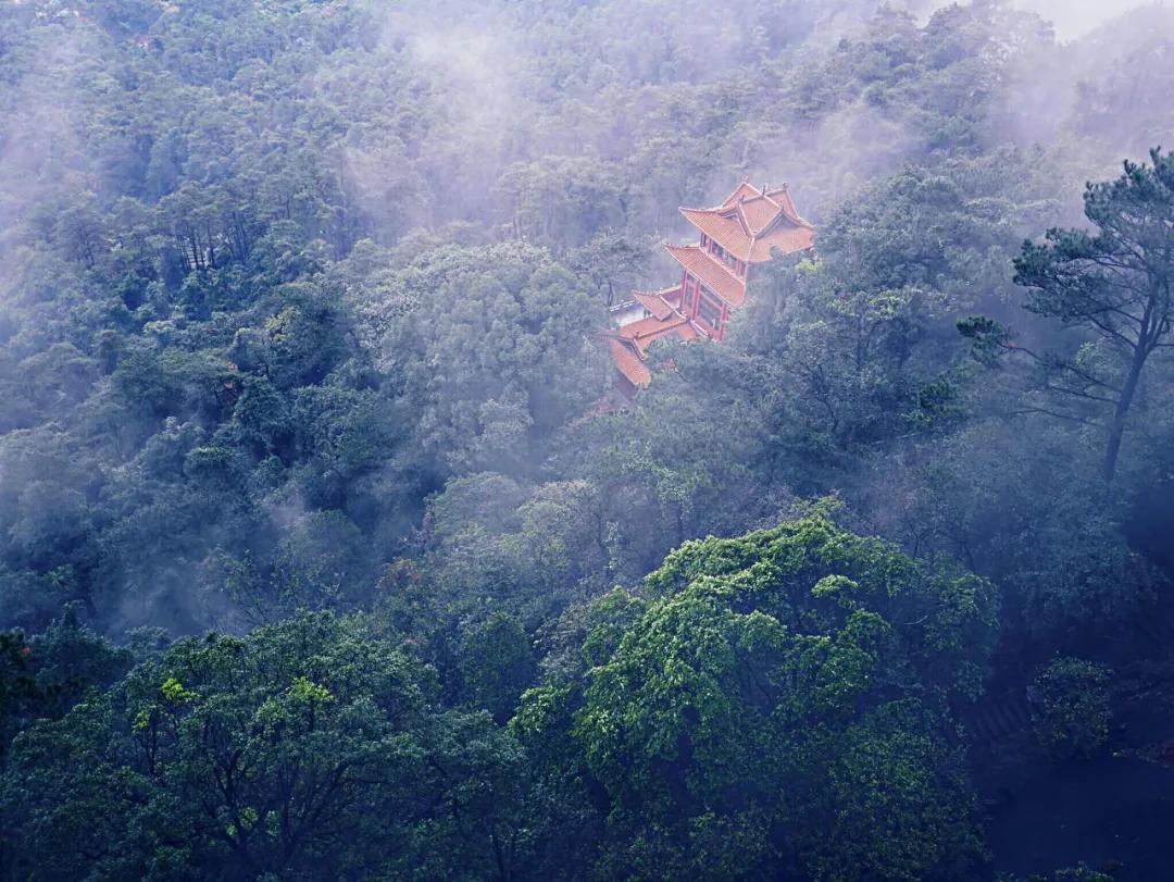 6条绝美自驾路线是时候安排上了,7条国内绝美自驾线路
